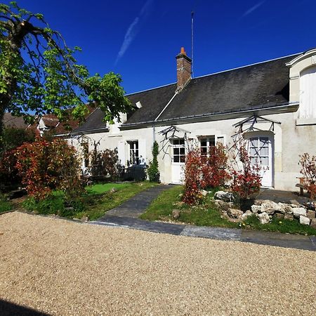 Bed and Breakfast La Jacquiere Chaumont-sur-Loire Zewnętrze zdjęcie